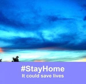 Meet your Posher, Dennis